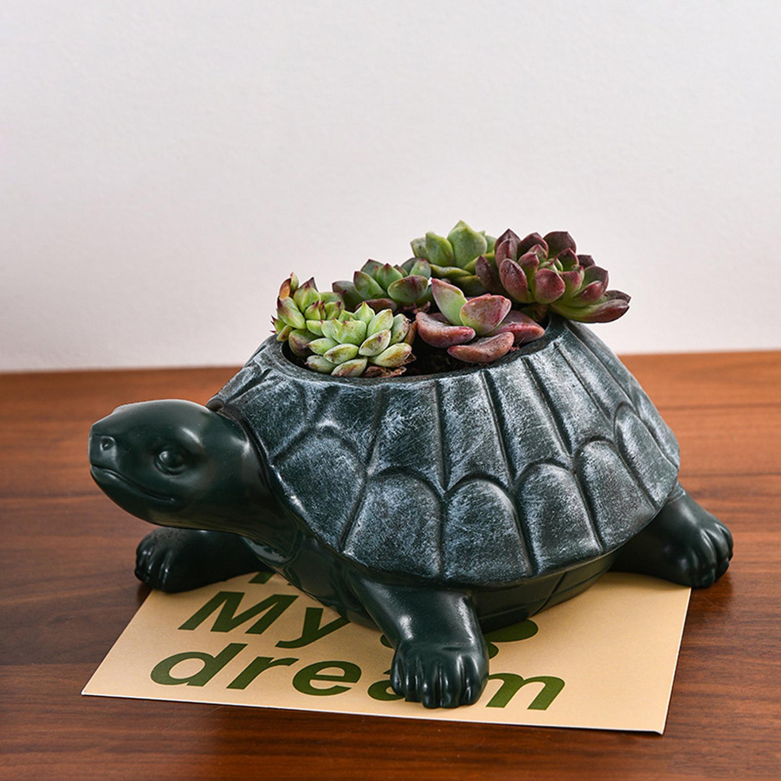 Bonsai Garden Cafe - Pot Bunga Penyu Hiasan Meja Dekoratif