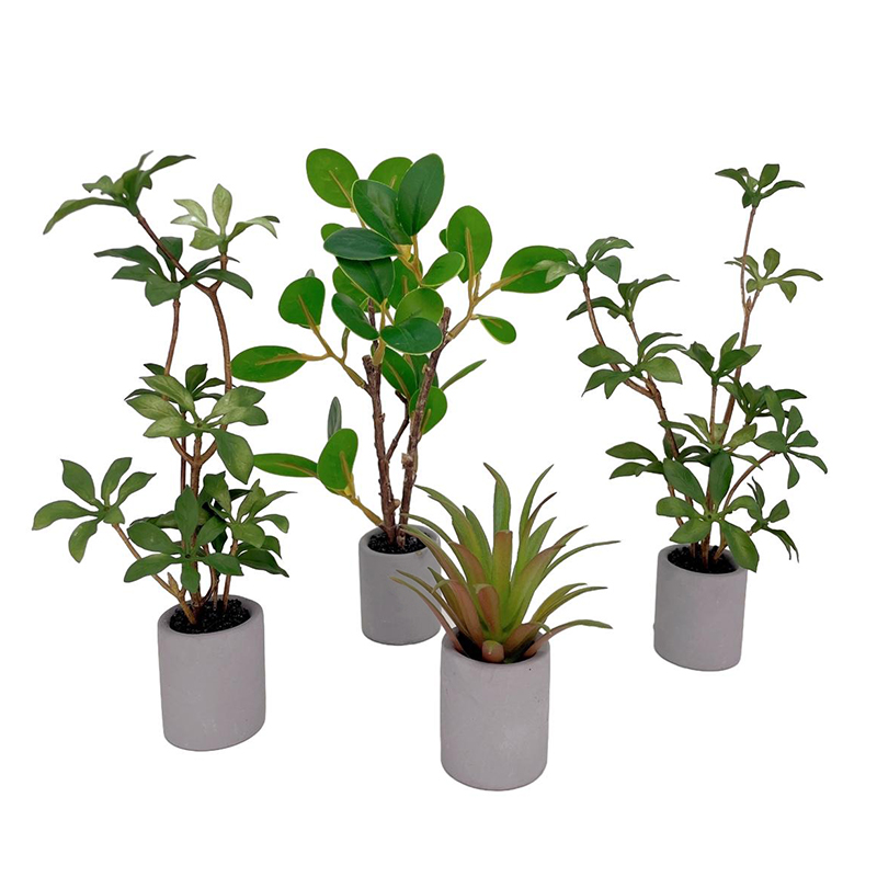 1:6 miniatur rumah boneka Mode - Bonsai Garden House ulasan dan harga