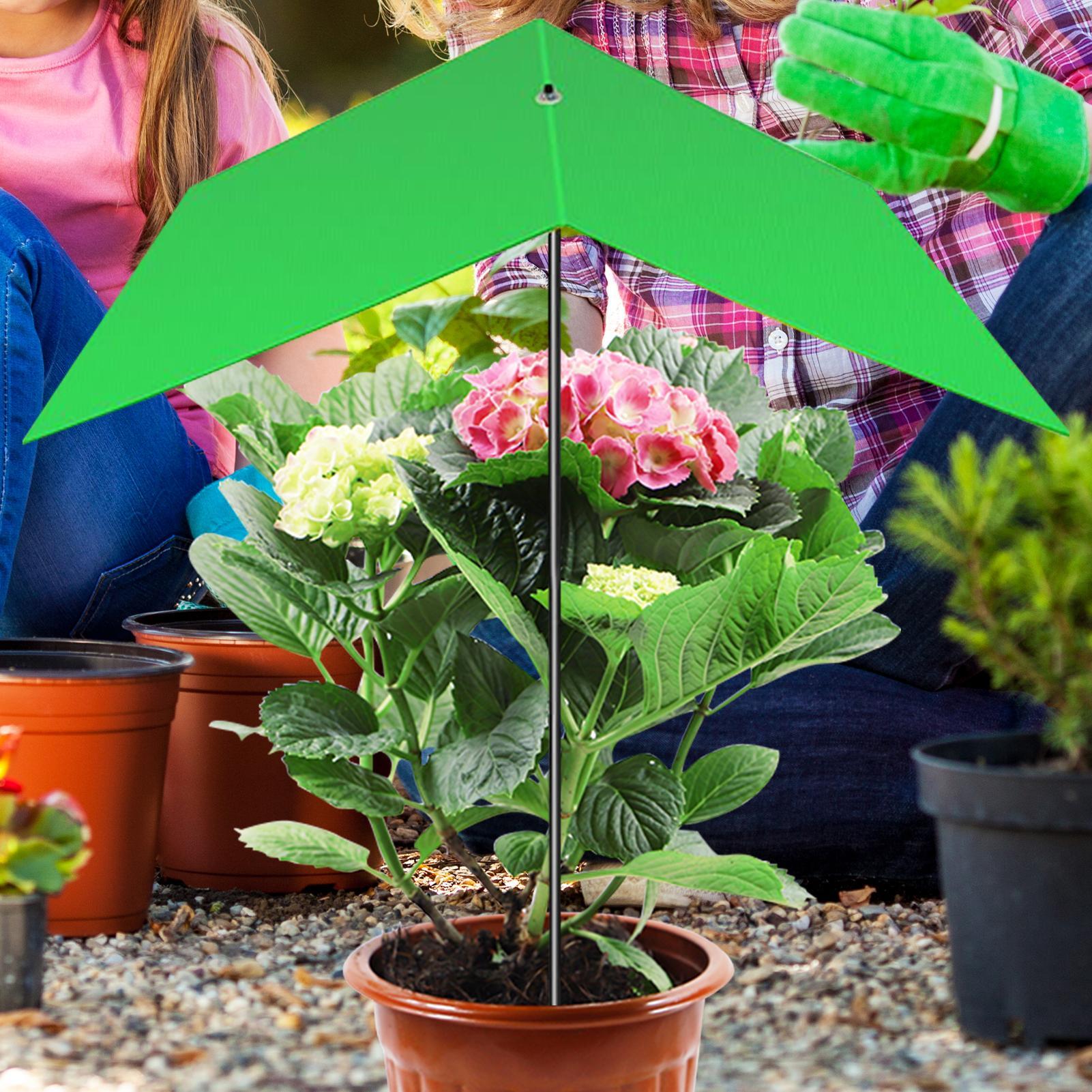 Payung Tanaman Anti-UV Penutup - Bonsai Garden Cafe ulasan dan harga