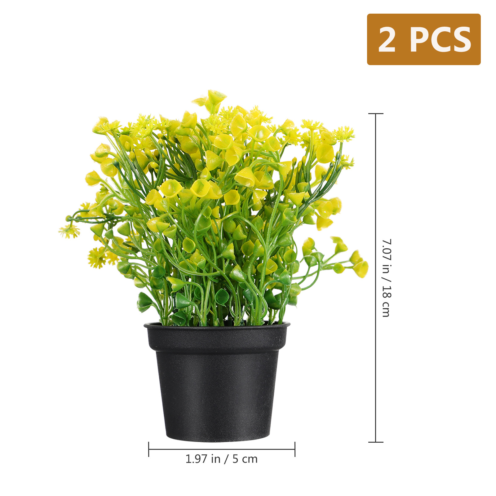 2Pcs Bonsai Rumput Lonceng Bua - Bonsai Garden Cafe ulasan dan harga